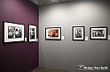 VBS_1703 - Mostra Peter Hince - Queen Experience